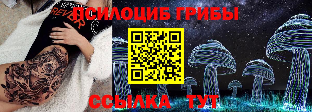Рубцовск  Галлюциногенные грибы Psilocybine cubensis  Вход с VPN 
