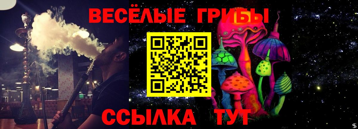 Галлюциногенные грибы MAGIC MUSHROOMS Рубцовск